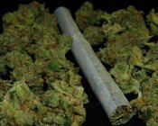 Треть киевлян за легализацию медицинской марихуаны, - исследование